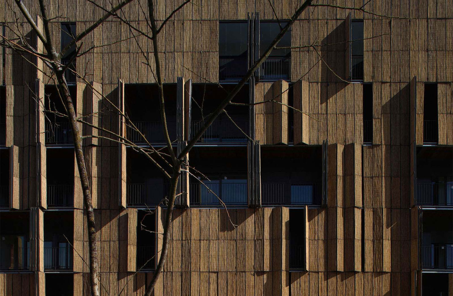 Bamboo Housing